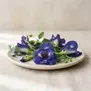 Flor de Feijão Azul