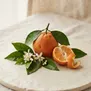 Laranja Amarga