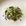 Cardamomo
