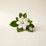 Flor de Tiarê