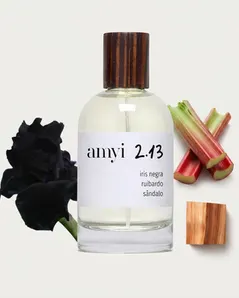 Amyi 2.13