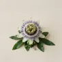Flor de Maracujá