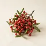 Sementes de Pimenta