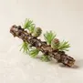 Larix ou Lariço