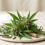 Cannabis