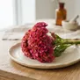 Celosia