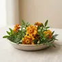 Tagetes