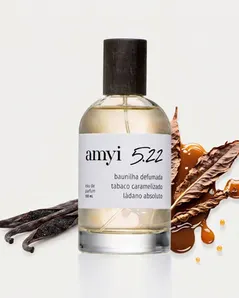 Amyi 5.22