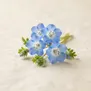 Nemophila