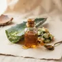 Néctar de Agave