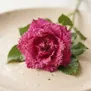 Rosa com Franjas