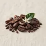 Mocha