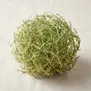 Tumbleweed