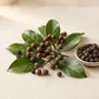 Pimenta jamaicana