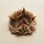 Pelo