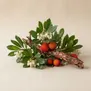 Arbutus (Madrona, Árvore de uva-de-urso)