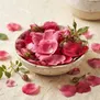 Rosa da China