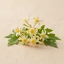 Flor de Papaia