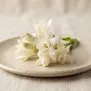 Flores Cremosas