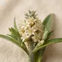 Flor de Abacaxi