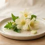Flor de Melão