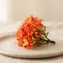 Flor de Ashoka