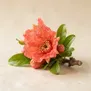 Flor de Romã
