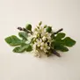 Flor de Figo