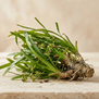 Posidonia