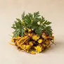 Huang Lian