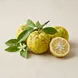 Yuzu