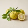 Yuzu