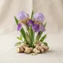 Diviniris