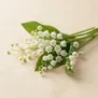 Flores Transparentes