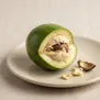 Cerbera