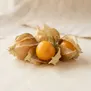 Goldenberry