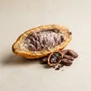 Chocolate Amargo