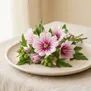 Lavatera