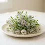 Alyssum
