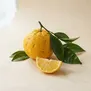 Laranja de Hassaku