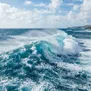 Notas Oceânicas