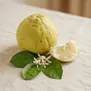 Pomelo