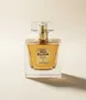 WILD ELIXIR