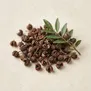 Timur