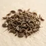 Alcarávia