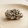 Grisalva
