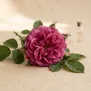 Óxido de Rosa