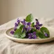 Violeta