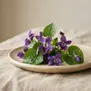 Violeta