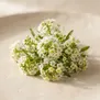 Flor de Mel
